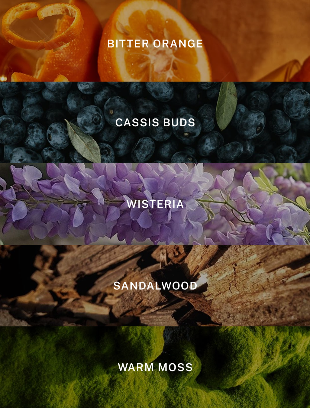 Positano - Luxury Summer Reed Diffuser - Home Decor & Gifts