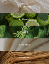 Load image into Gallery viewer, Miami - Luxury Soy Candle - 9.75 oz
